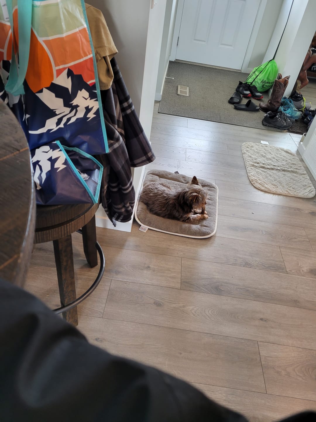 Customer photo review of Large Bully Stick Ring
