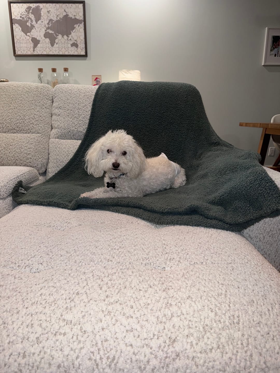 Customer photo review of Dark Forest Solid Double Layered Print Extended Throw