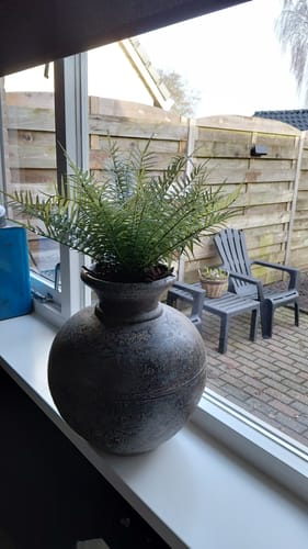 Customer photo review of Varen Kunstplant 45cm