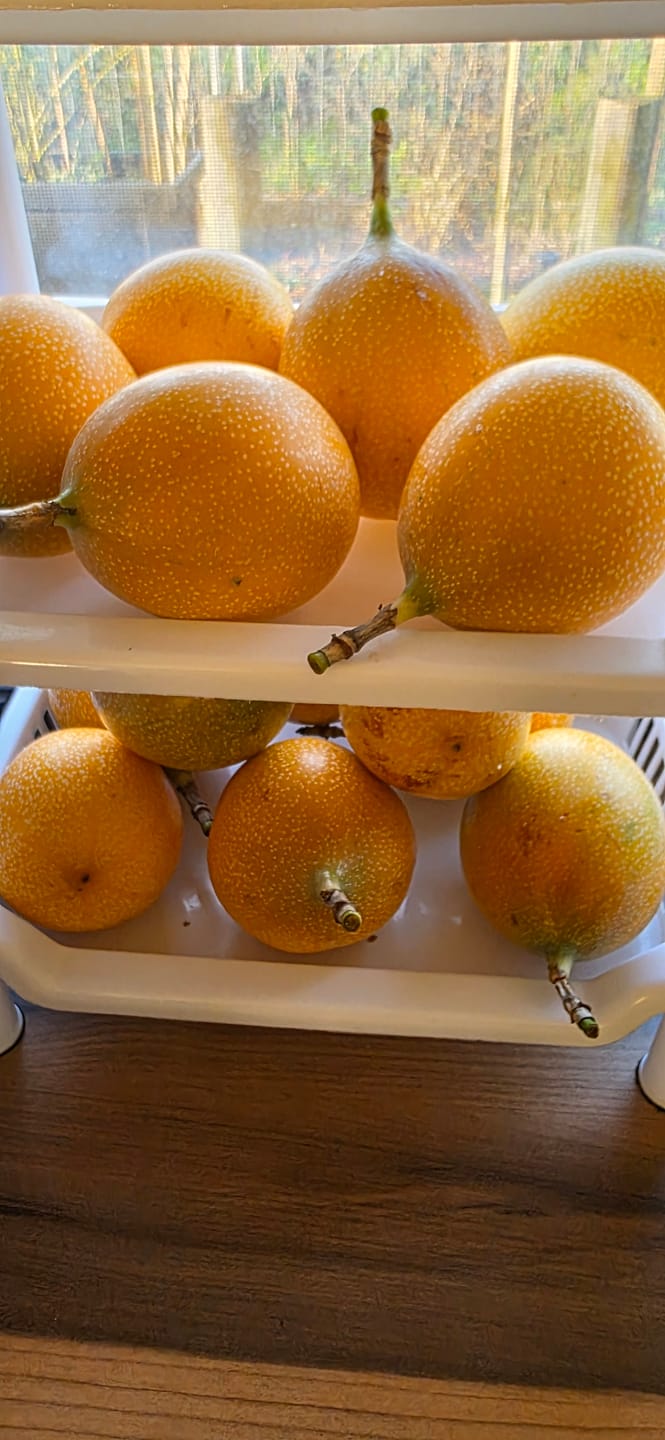 Customer photo review of Süße Granadilla Sonderaktion % 1,25kg