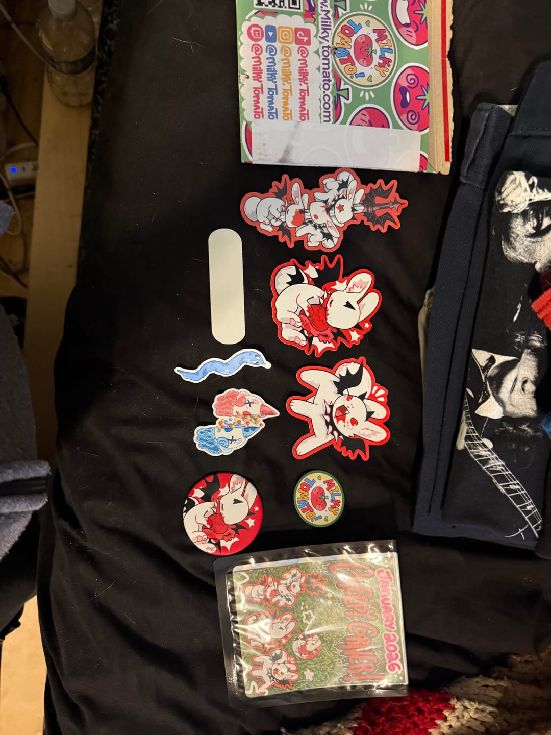 Customer photo review of January Creepy Sticker Club