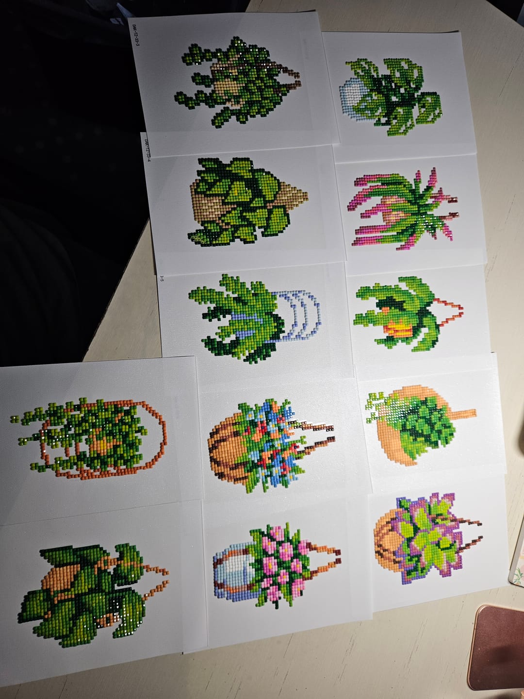 Customer photo review of Houseplants Set No. 1