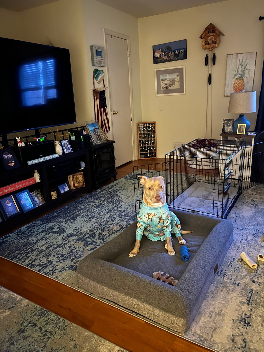 Customer photo review of Dog Pajama - Monkey Business