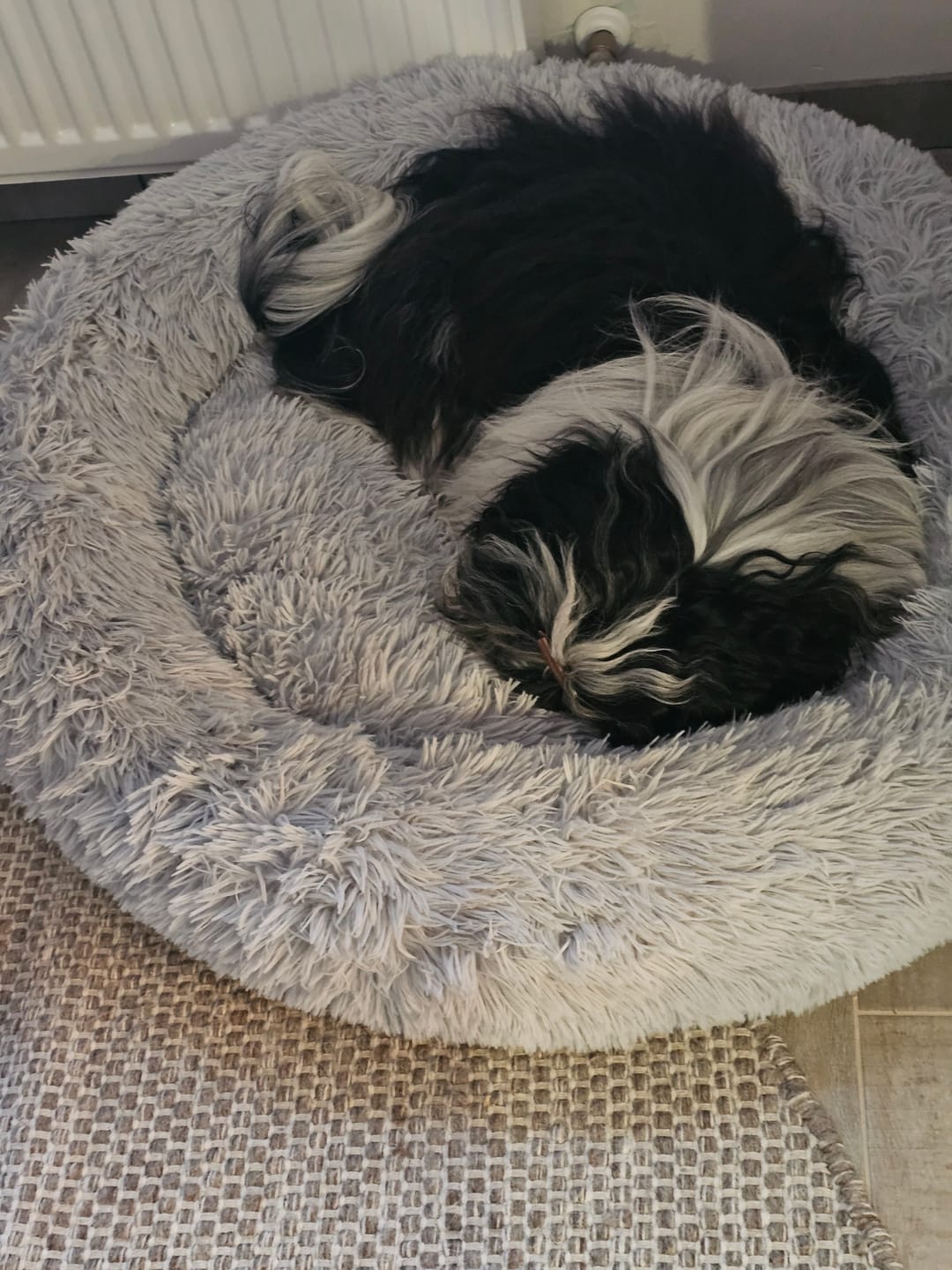 Customer photo review of Orthopädischer Hundekorb "Easy"