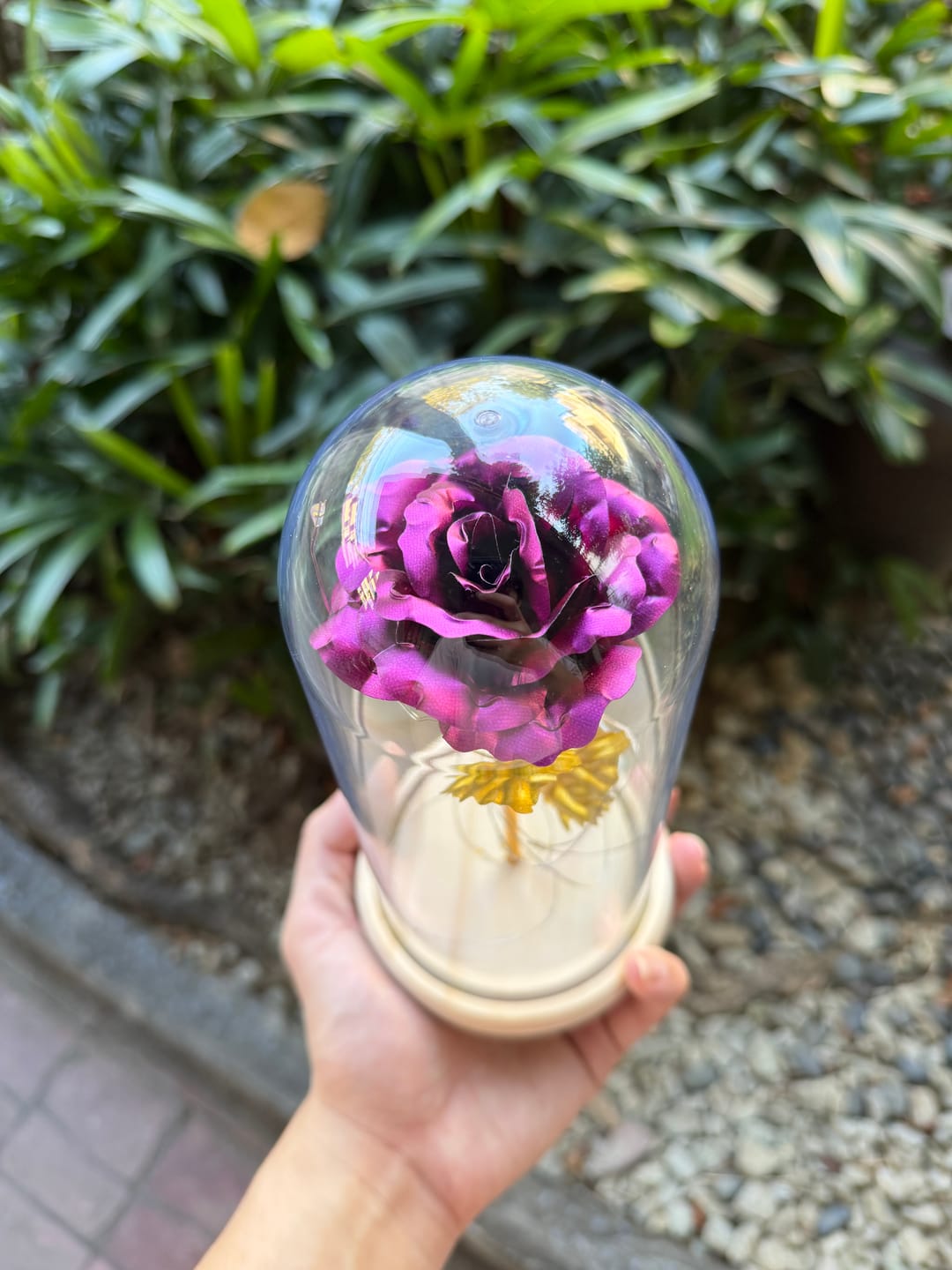 Customer photo review of EverGlow Rose - Lamp