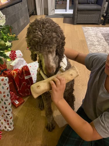Customer photo review of Mystery Box - Dog