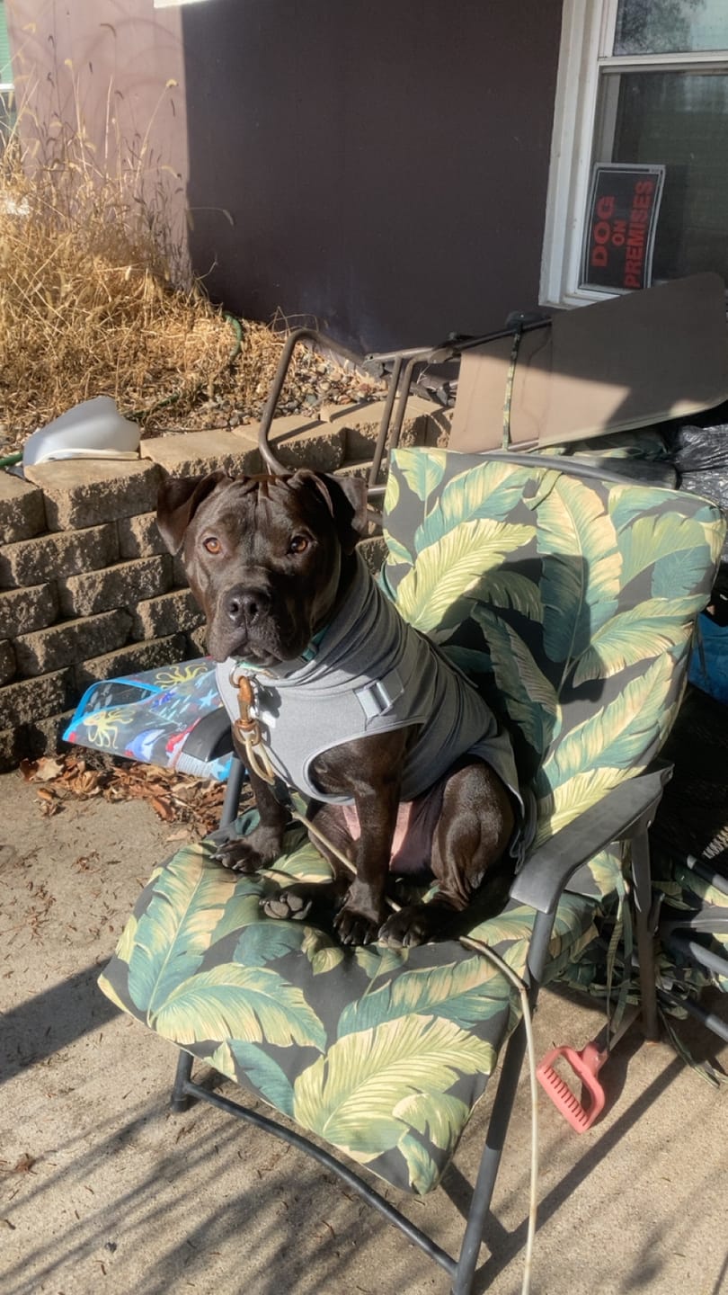 Customer photo review of Anxiety Calming Suit