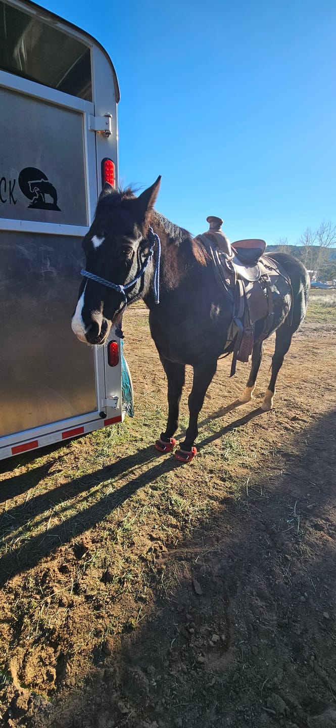 Customer photo review of Renegade® Viper Shield™ Hoof Boot - Dragon Fire Red
