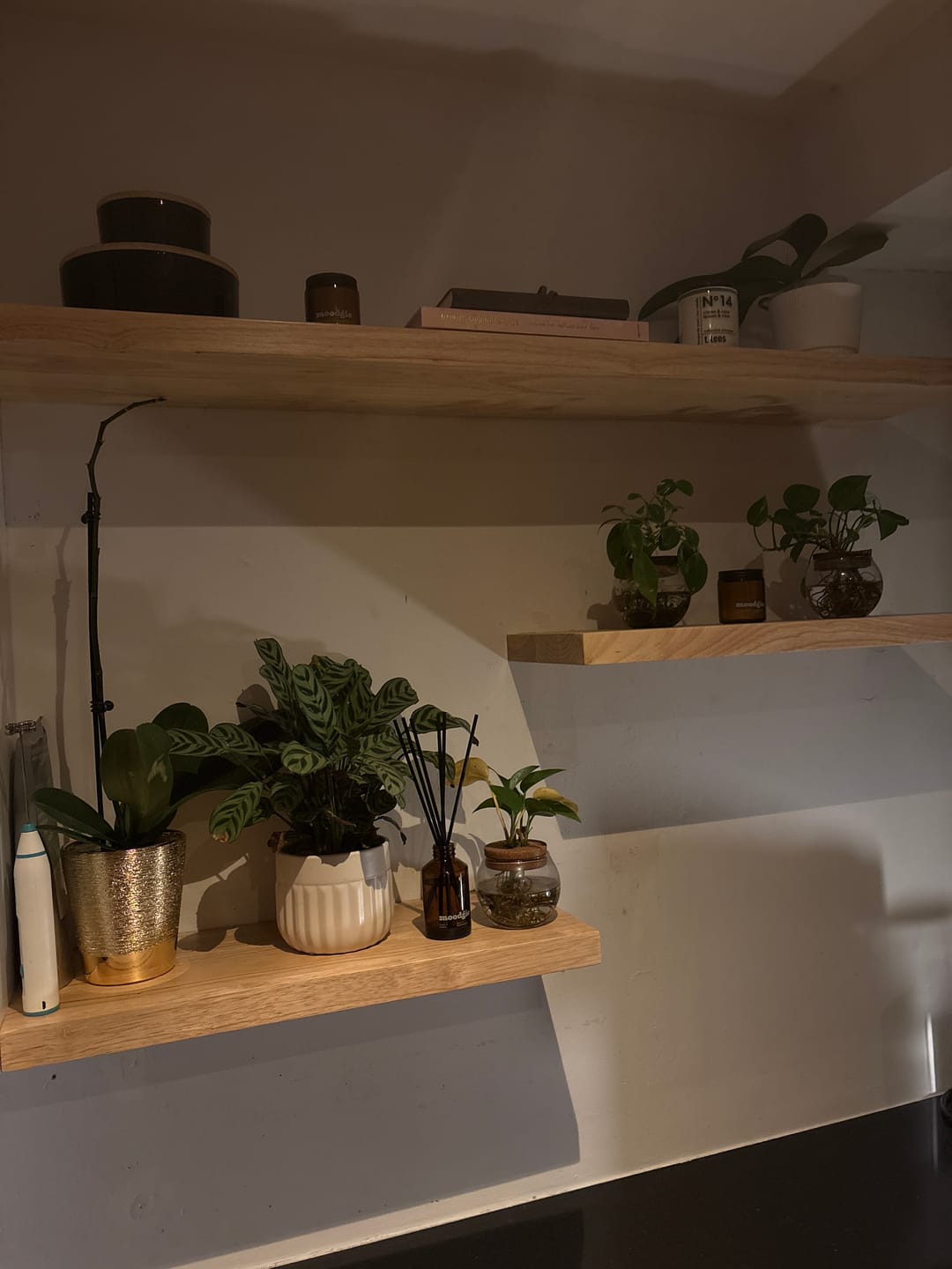 Customer photo review of Diffuseur à roseaux - Eucalyptus + Lichen