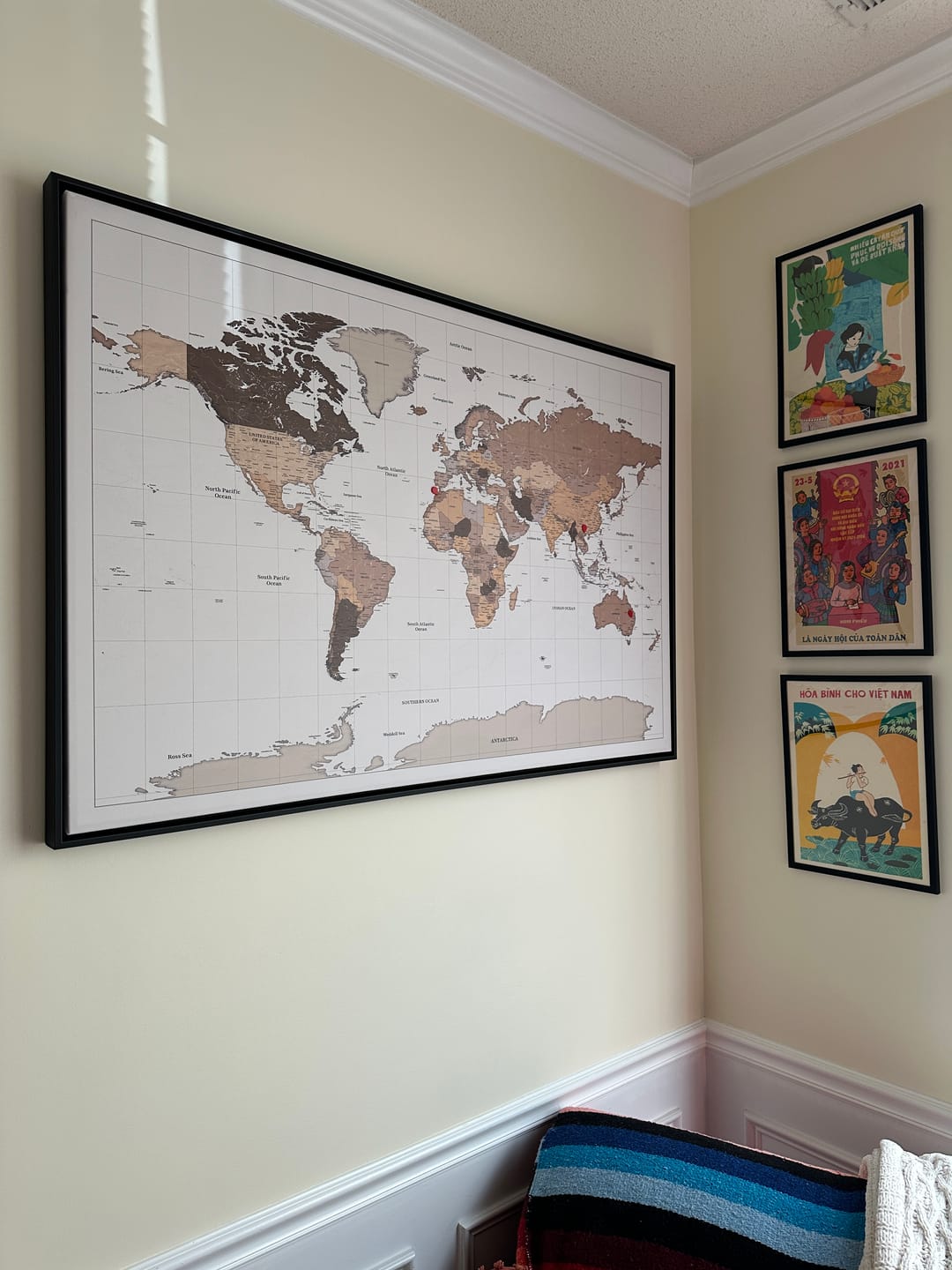 Customer photo review of Smart Pin World Map - Safari