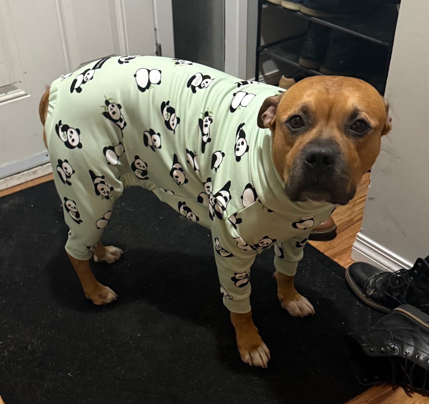 Customer photo review of Dog Pajama - Panda