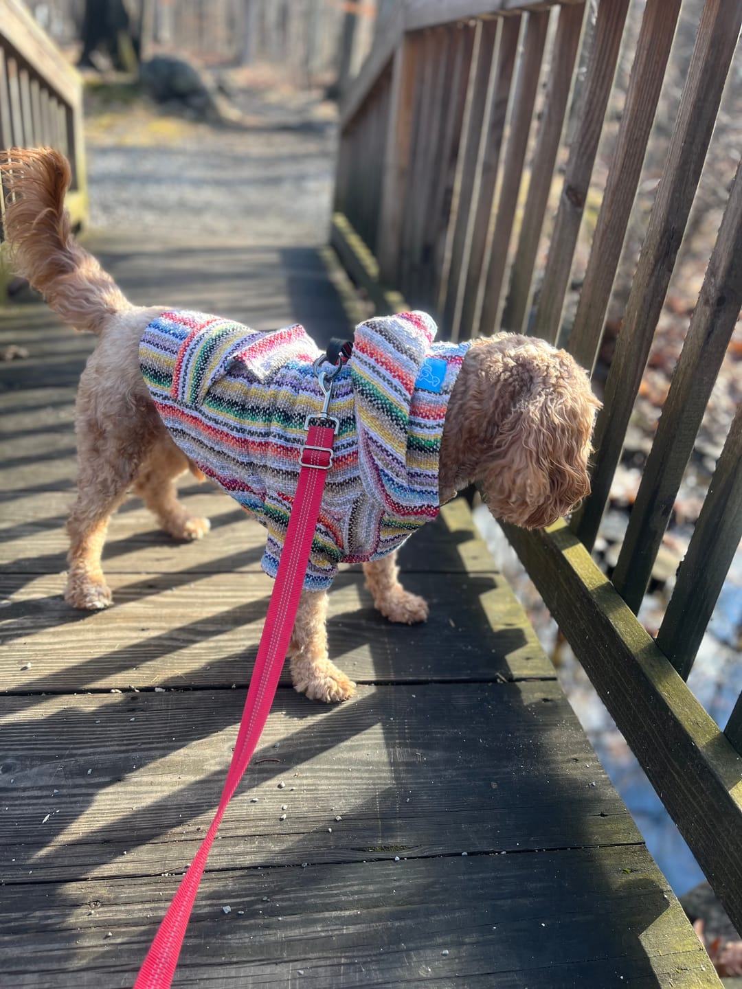 Customer photo review of Playa Poncho – Mystery Color (Bella, Charlie, or Fun Edition)