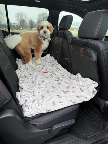Customer photo review of RuffRover 2.0™ - Hard Bottom Dog Car Seat Protector
