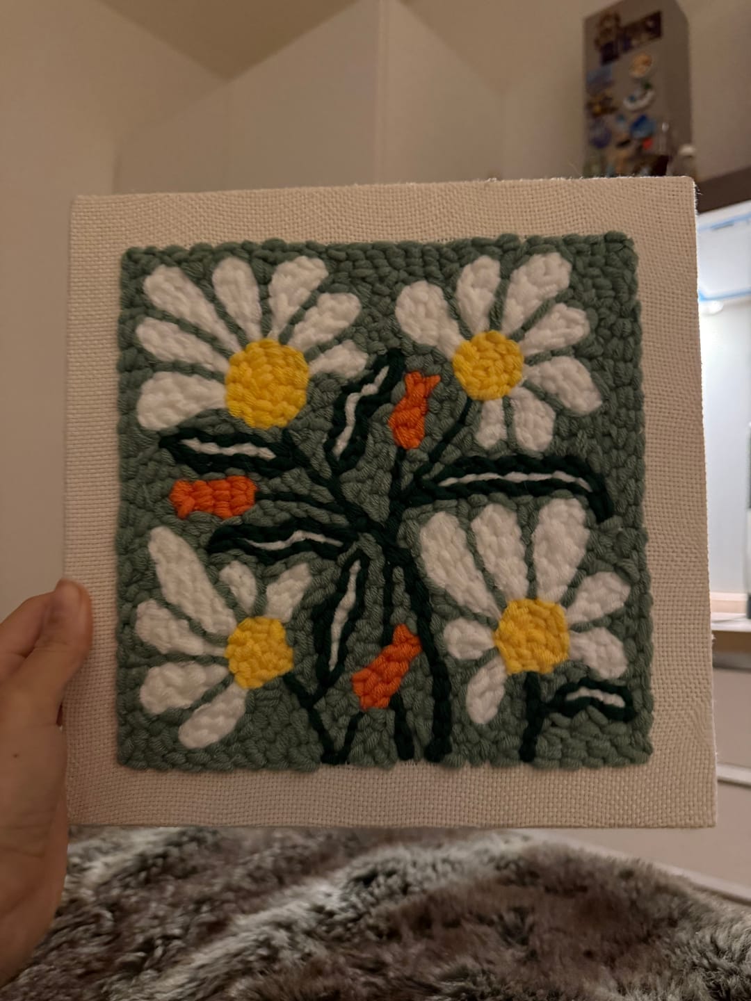 Customer photo review of Daisy Meadow