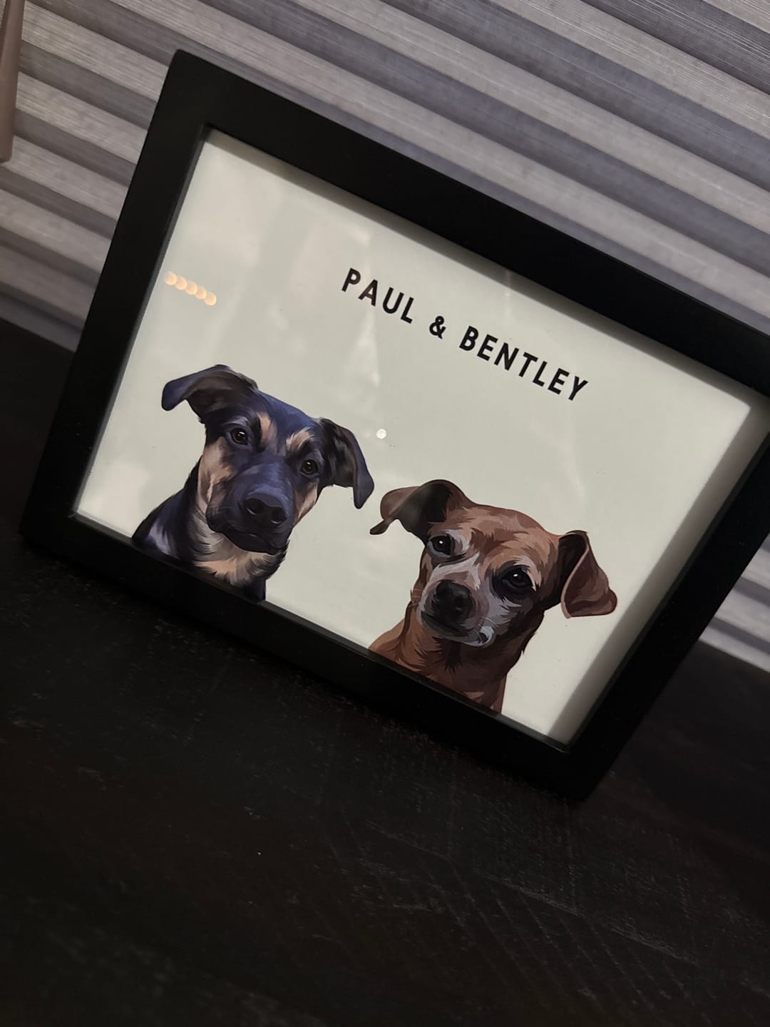 Customer photo review of Custom Desktop Two Pet Portrait