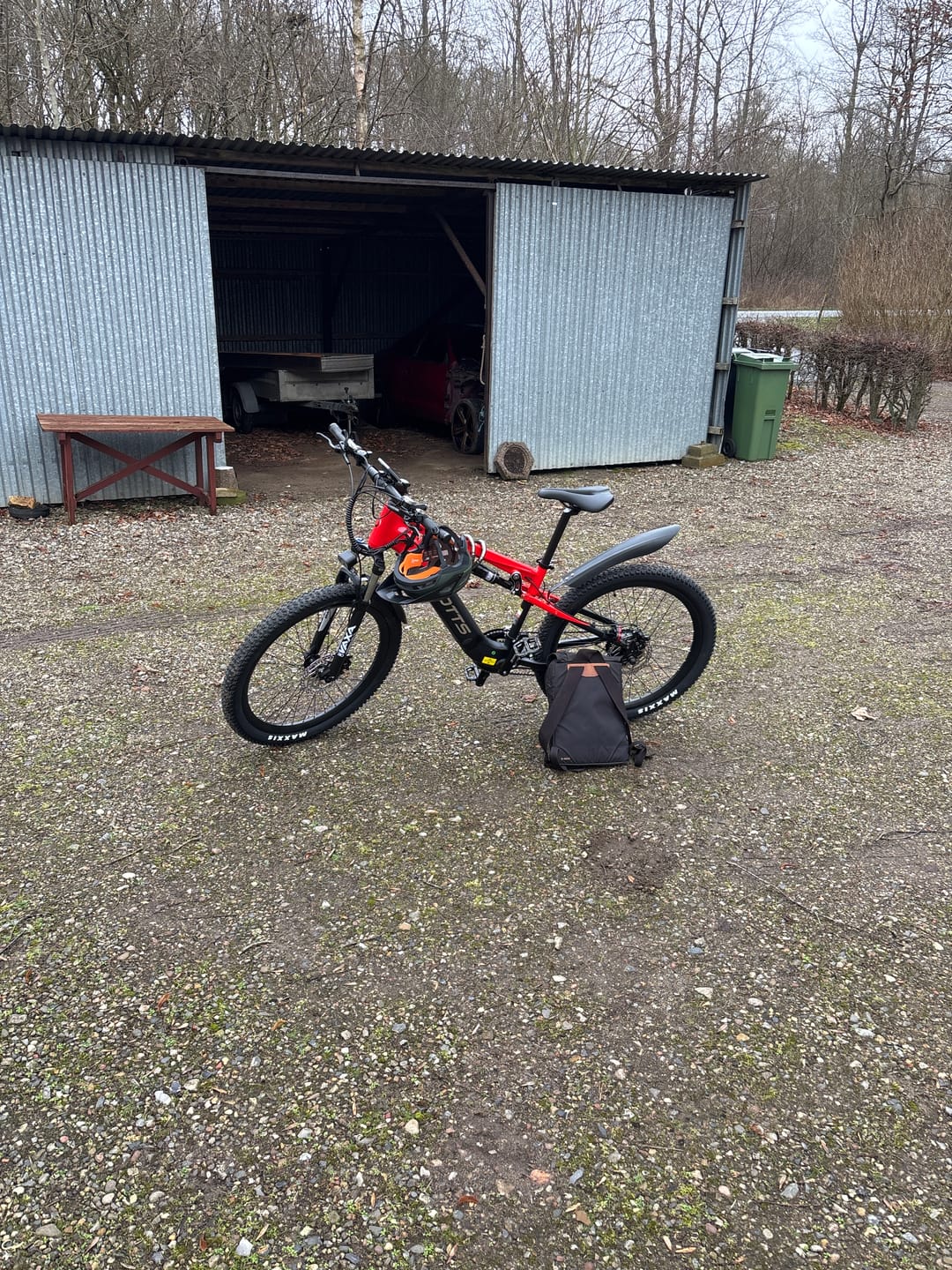Customer photo review of DUOTTS E29 Electric Bike