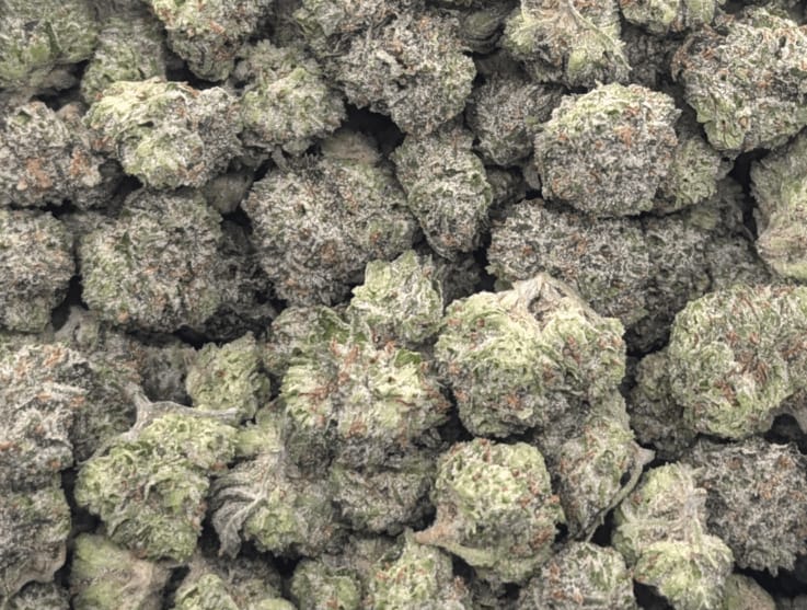 Customer photo review of Indoor Smalls