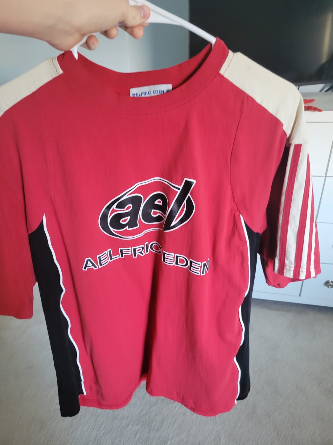 Customer photo review of Aelfric Eden Color Block Speedway Tee