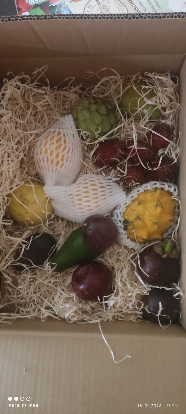 Customer photo review of Tropenreise Südamerika Box