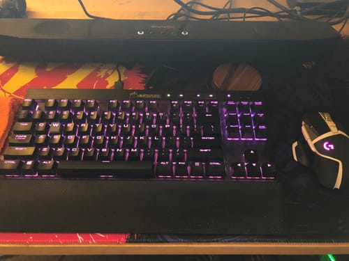 Customer photo review of Screaming Guts