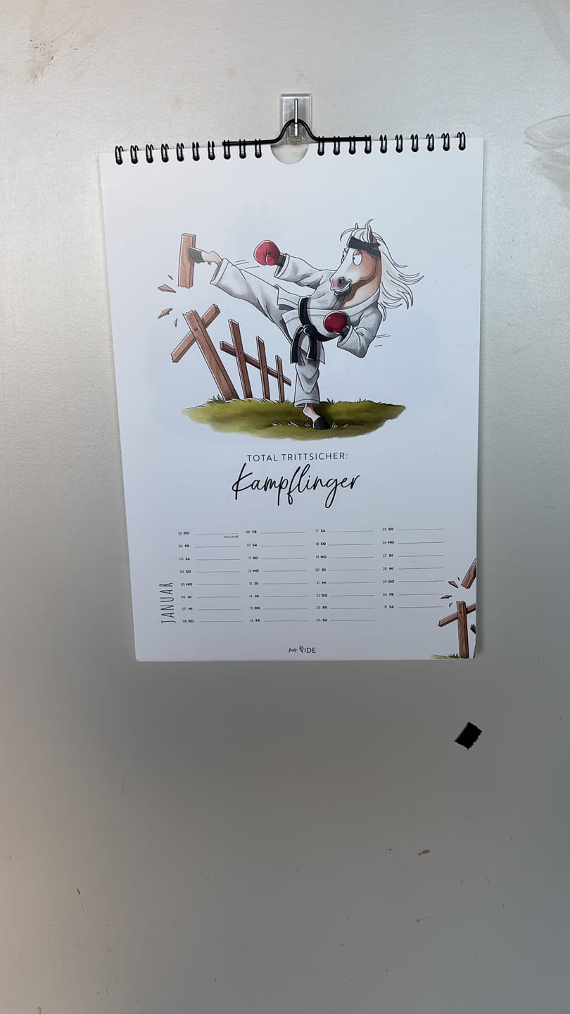 Customer photo review of Haflinger Kalender 2026