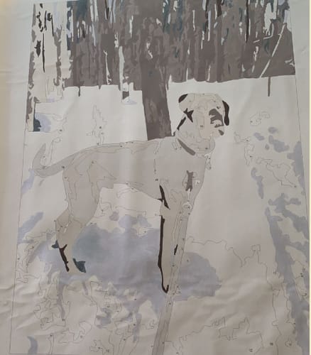 Customer photo review of Custom Pet Paint By Numbers