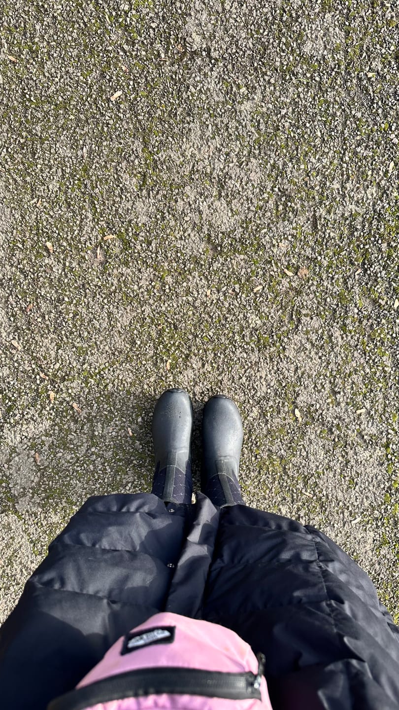 Customer photo review of Women's Arctic Weekend Short Boots
