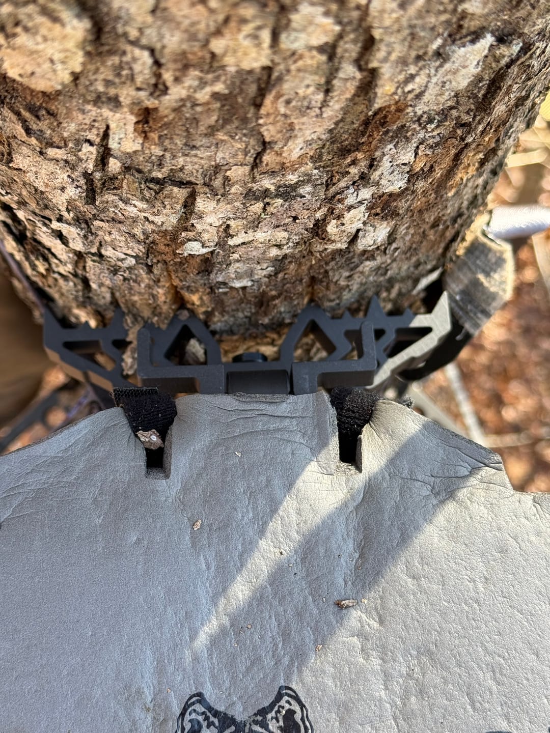 Customer photo review of RANGER HYBRID™