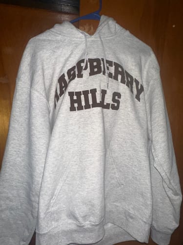 Customer photo review of GV Gallery “OG” Hoodie Grey