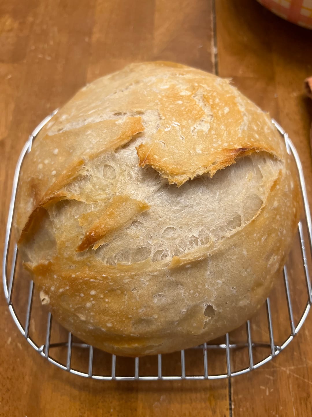 Customer photo review of Sourdough Starter Survival Guide | A Clear, Beginner-Friendly System for Feeding & Maintaining a Healthy Starter