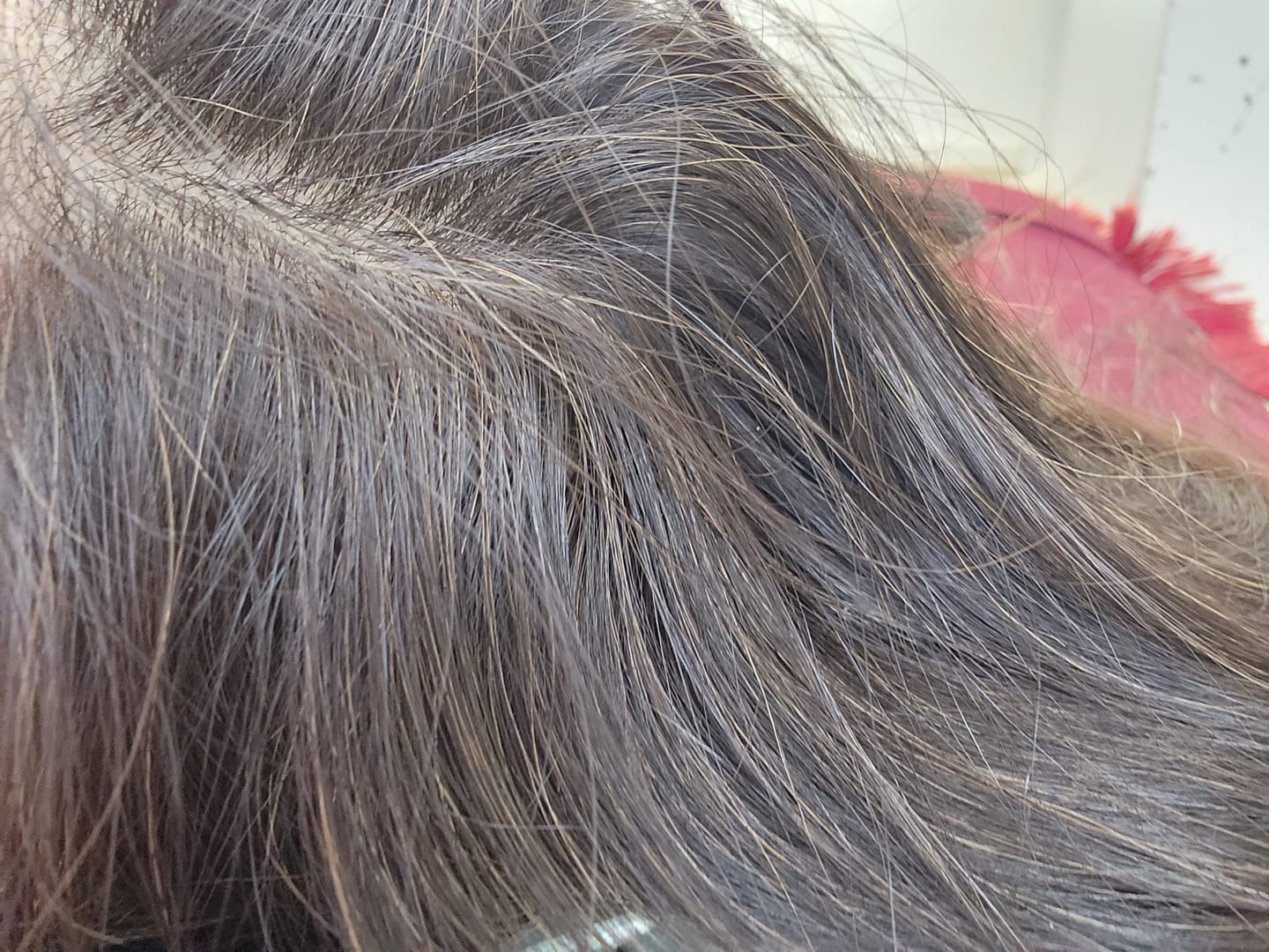Customer photo review of Organic Indigo Powder