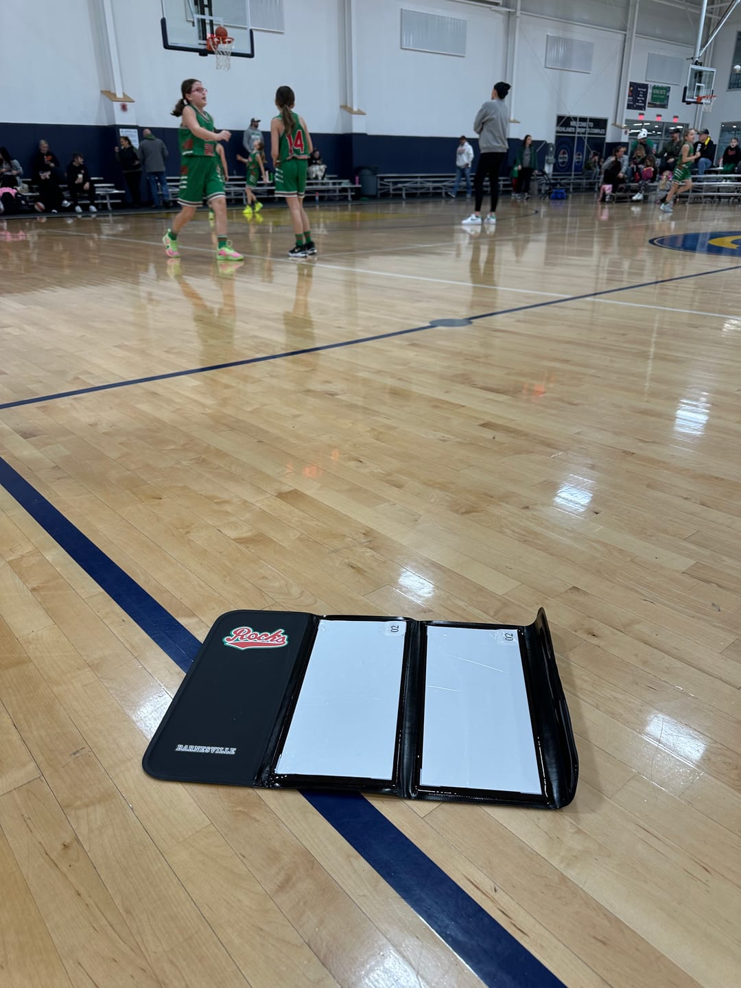 Customer photo review of Portable Traction Mat by Solegripz