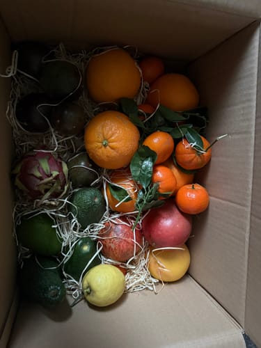 Kunde zeigt die geöffnete Obstbox „Andalusien“ mit frischen Avocados, Zitrusfrüchten, Granatäpfeln und einer Drachenfrucht.