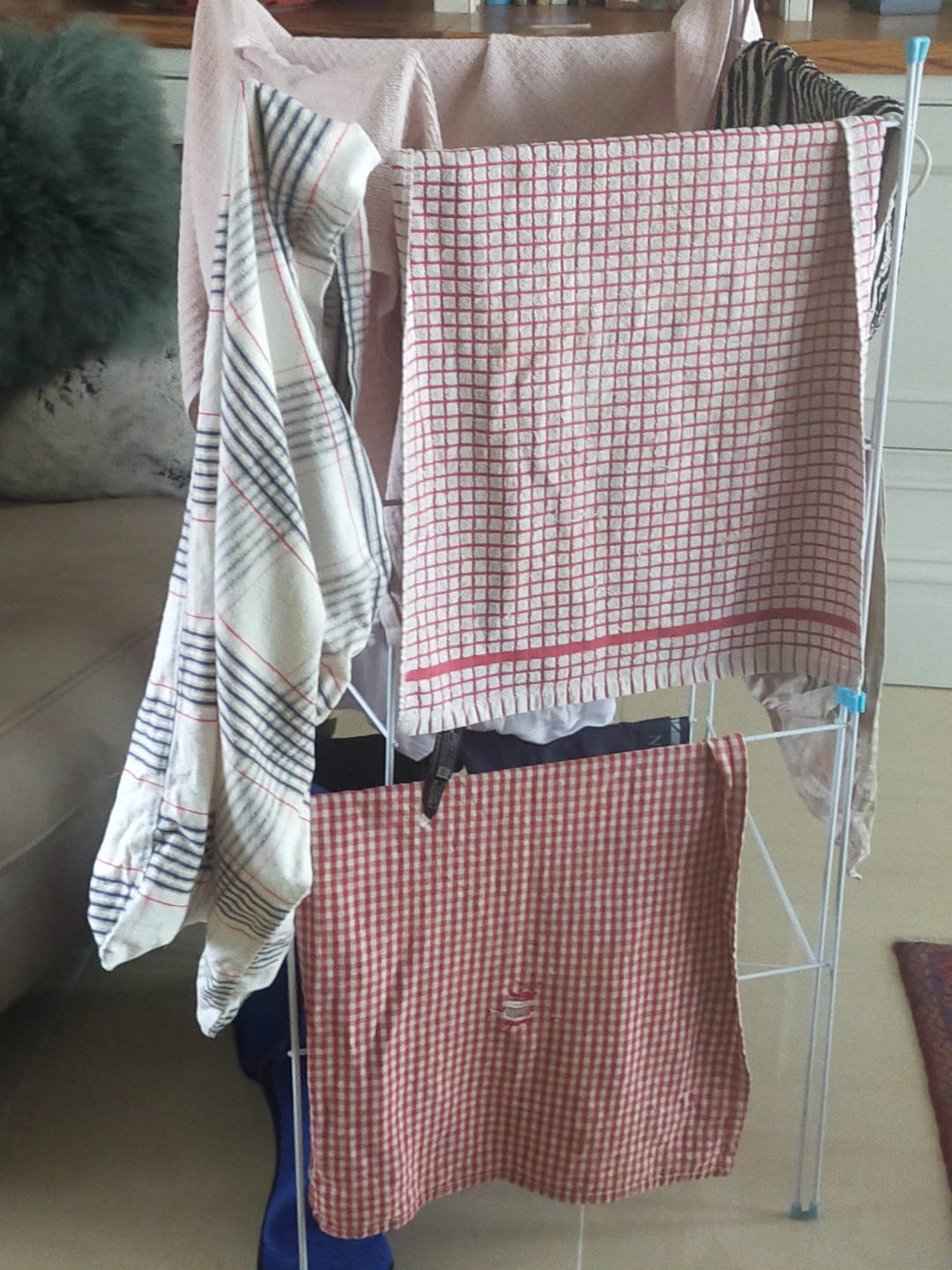 Customer photo review of Laundry Detergent Sheets