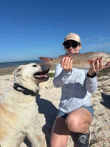 Customer holding a large redfish on a beach, caught using Slayer Inc. weedless hooks.