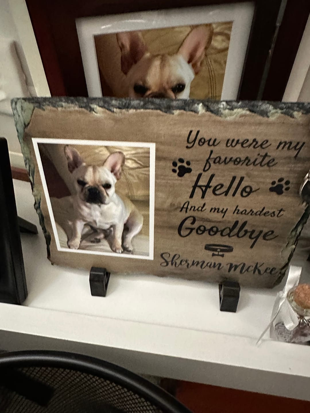 Customer photo review of Unique sympathy gift Personalized Cat Memorial Plaque You Were My Favorite Hello pet loss keepsake
