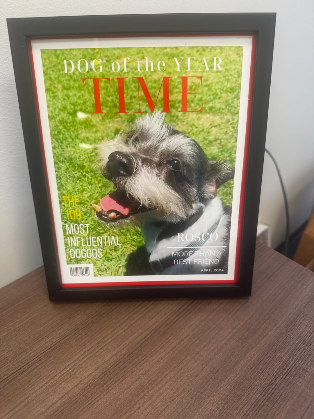 Customer photo review of Pet Portrait Magazine Cover
