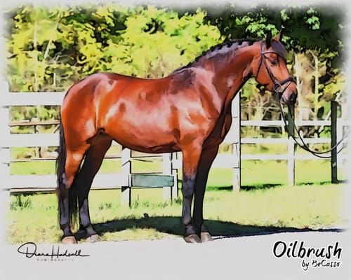 Customer photo review of Digestive HP