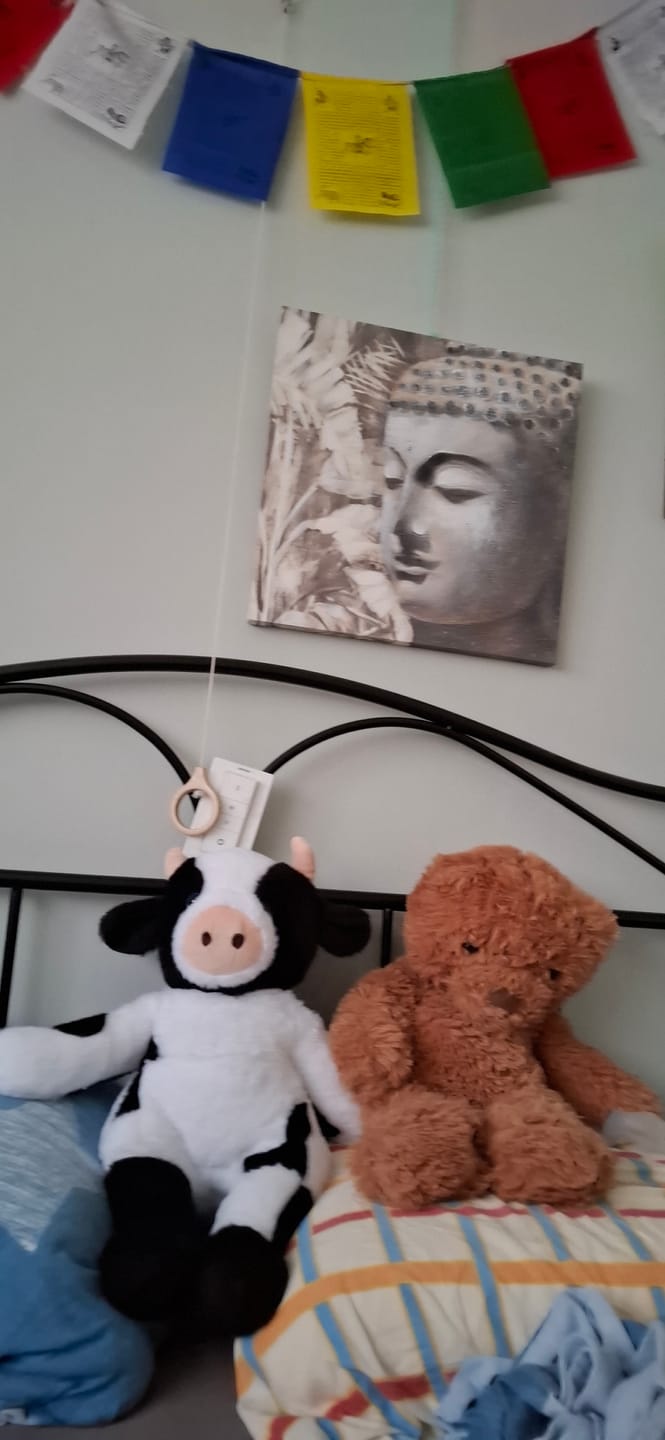 Customer photo review of Verzwaringsknuffel Koe 2,2 kg + Gratis Pittenzakje