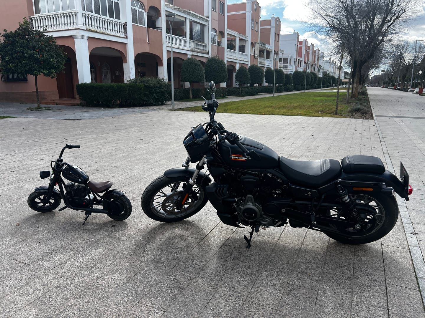 Customer photo review of Challenger 12