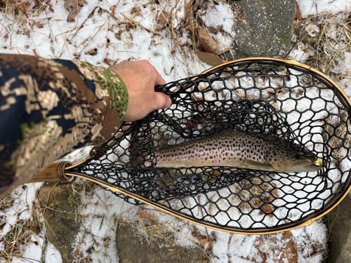 Customer photo review of Blue Line + Tether - 19" x 11" Hoop - Custom Handle Lengths