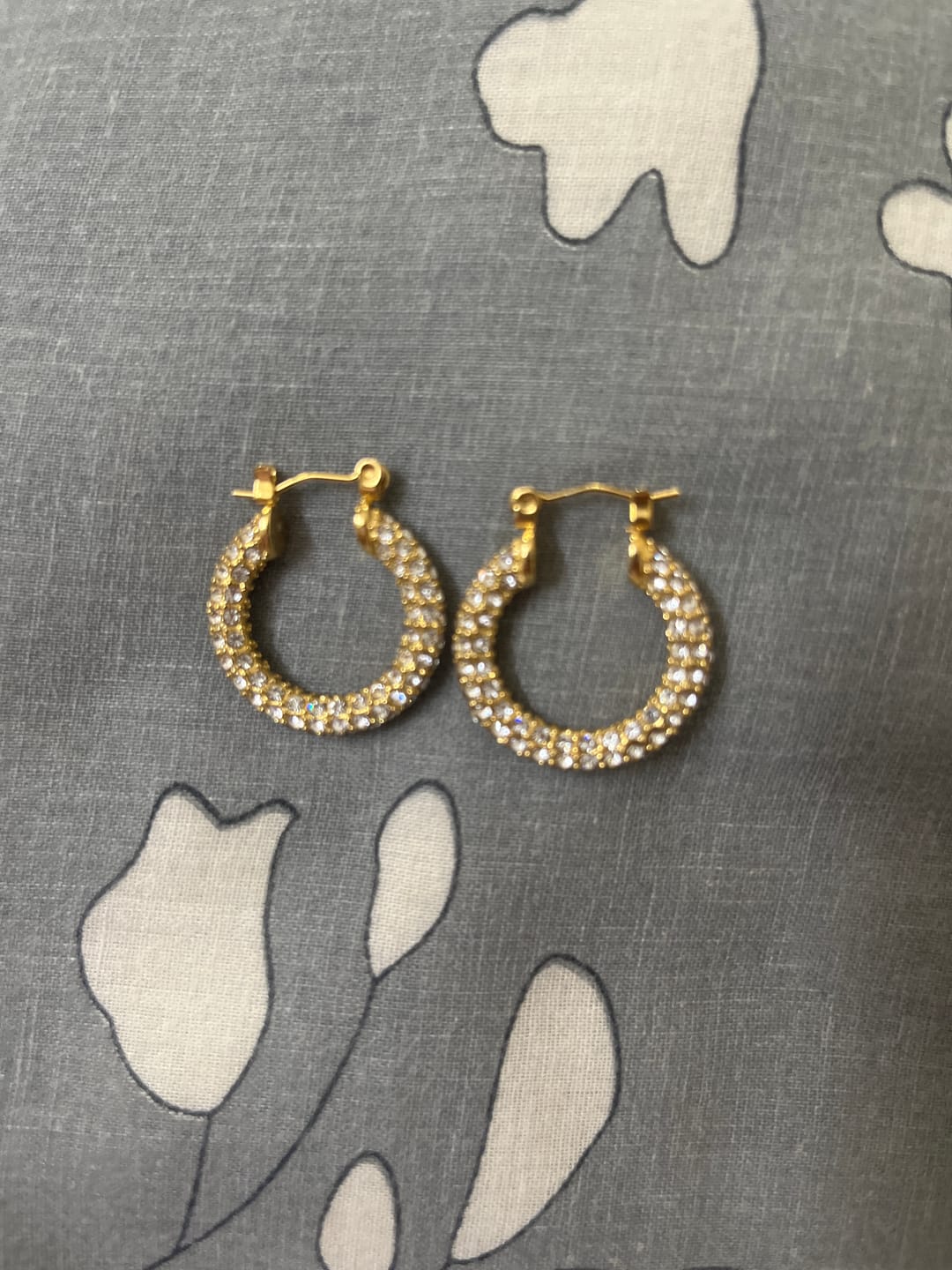 Customer photo review of Diamond Studded Hoop Earrings