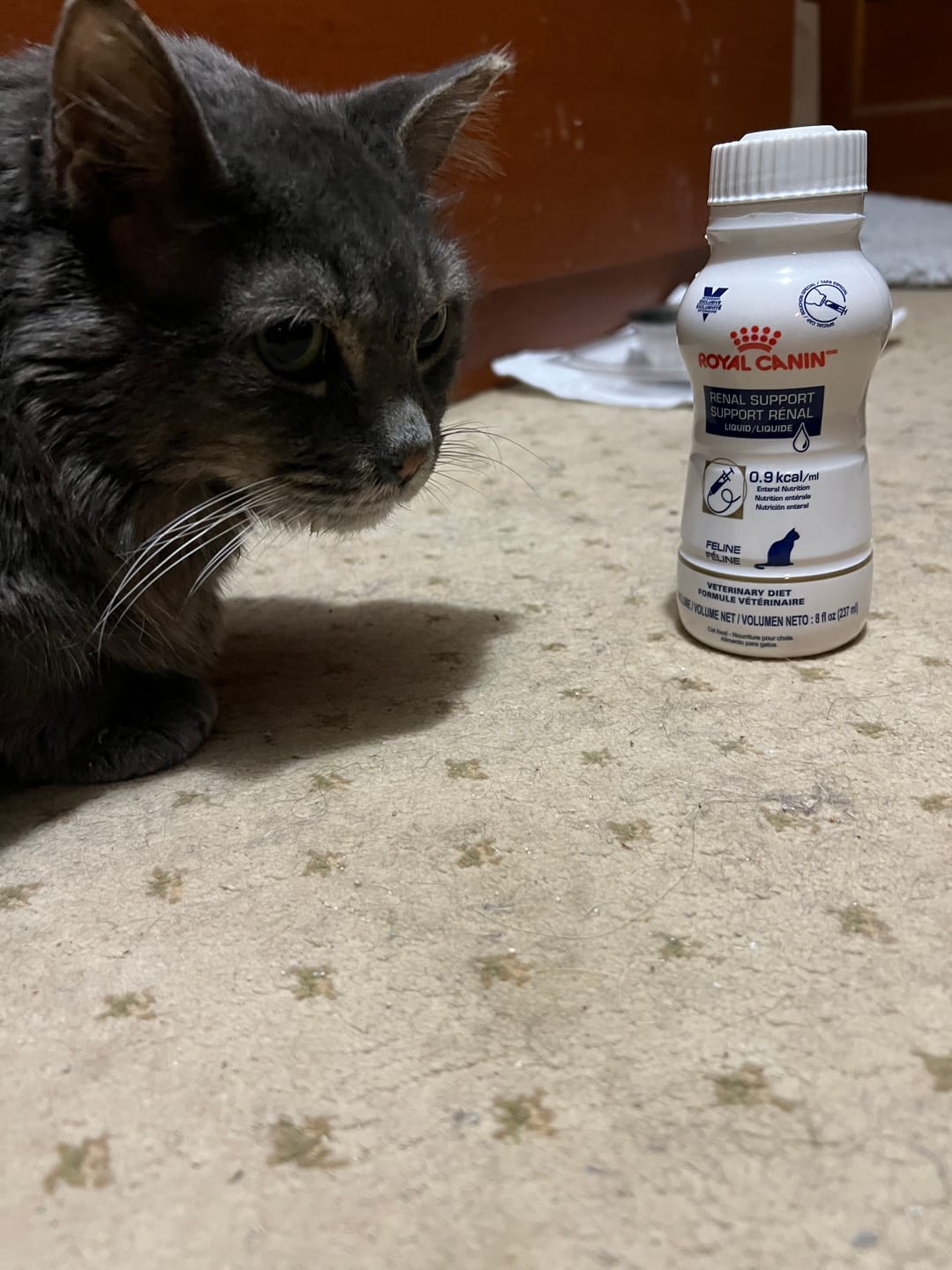 Customer photo review of Royal Canin Veterinary Diet - Renal Support Liquid Feline 4 pack