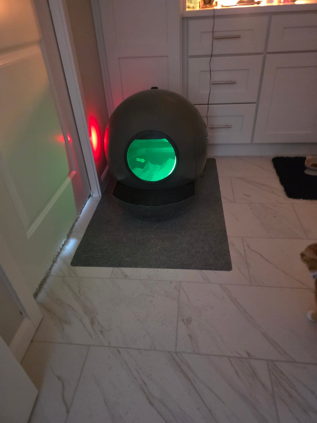 Customer photo review of [Christmas Sale] Spaceship 1 Automatic Litter Box