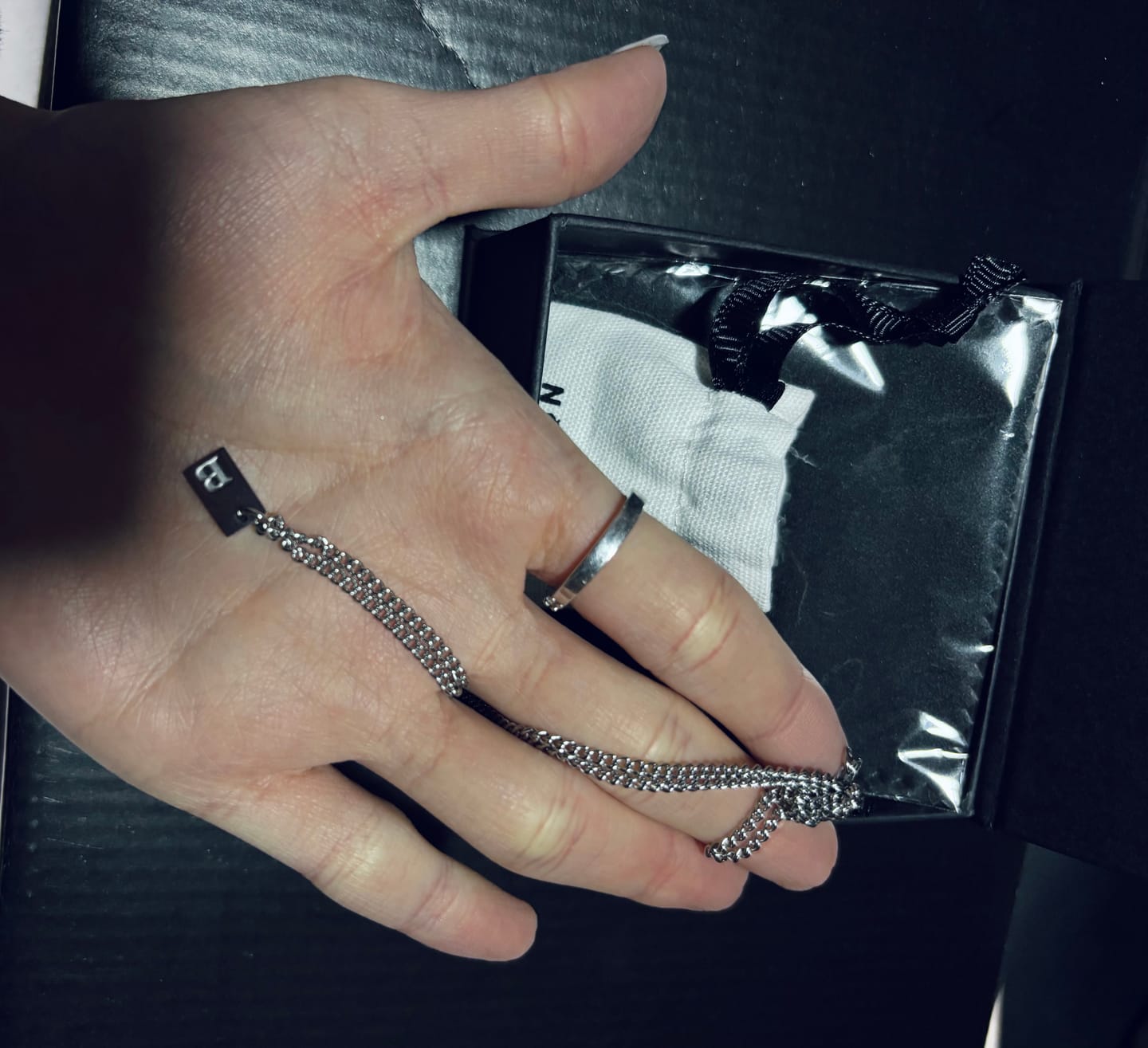 Customer photo review of Collar Delhi Silver