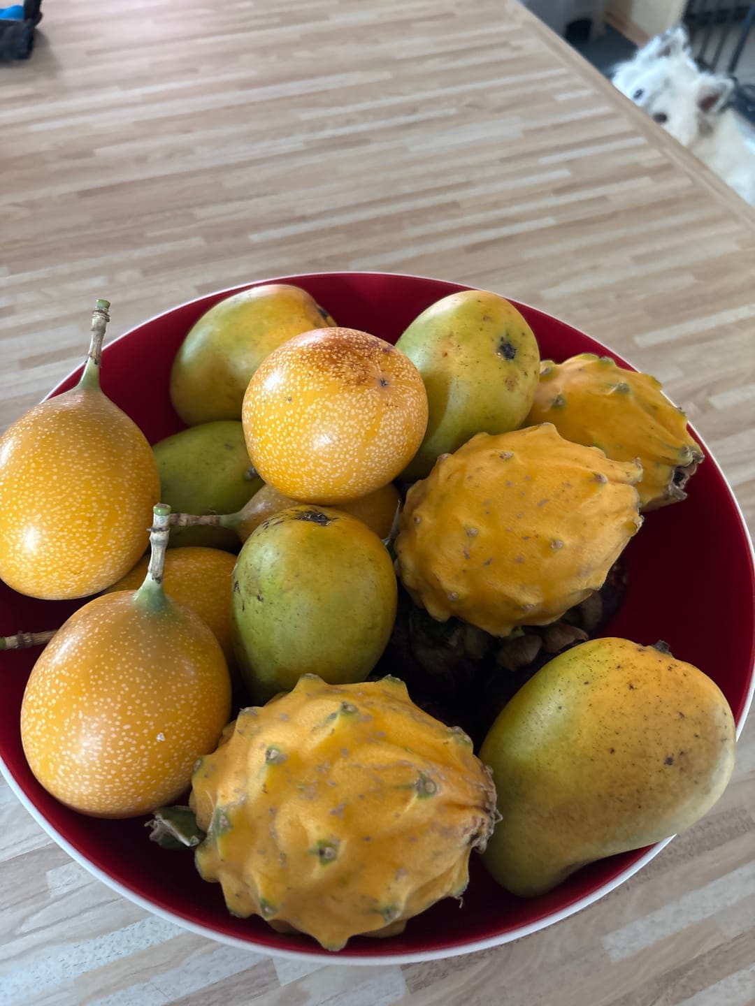 Customer photo review of Exotische Früchtebox "Tropen Träumerei"