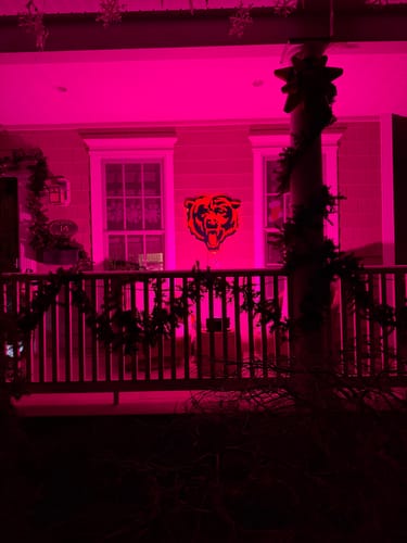 Reviewer's Chicago Bears 'Roaring Bear' wall art mounted on a house at night, illuminated by bright pink lights.