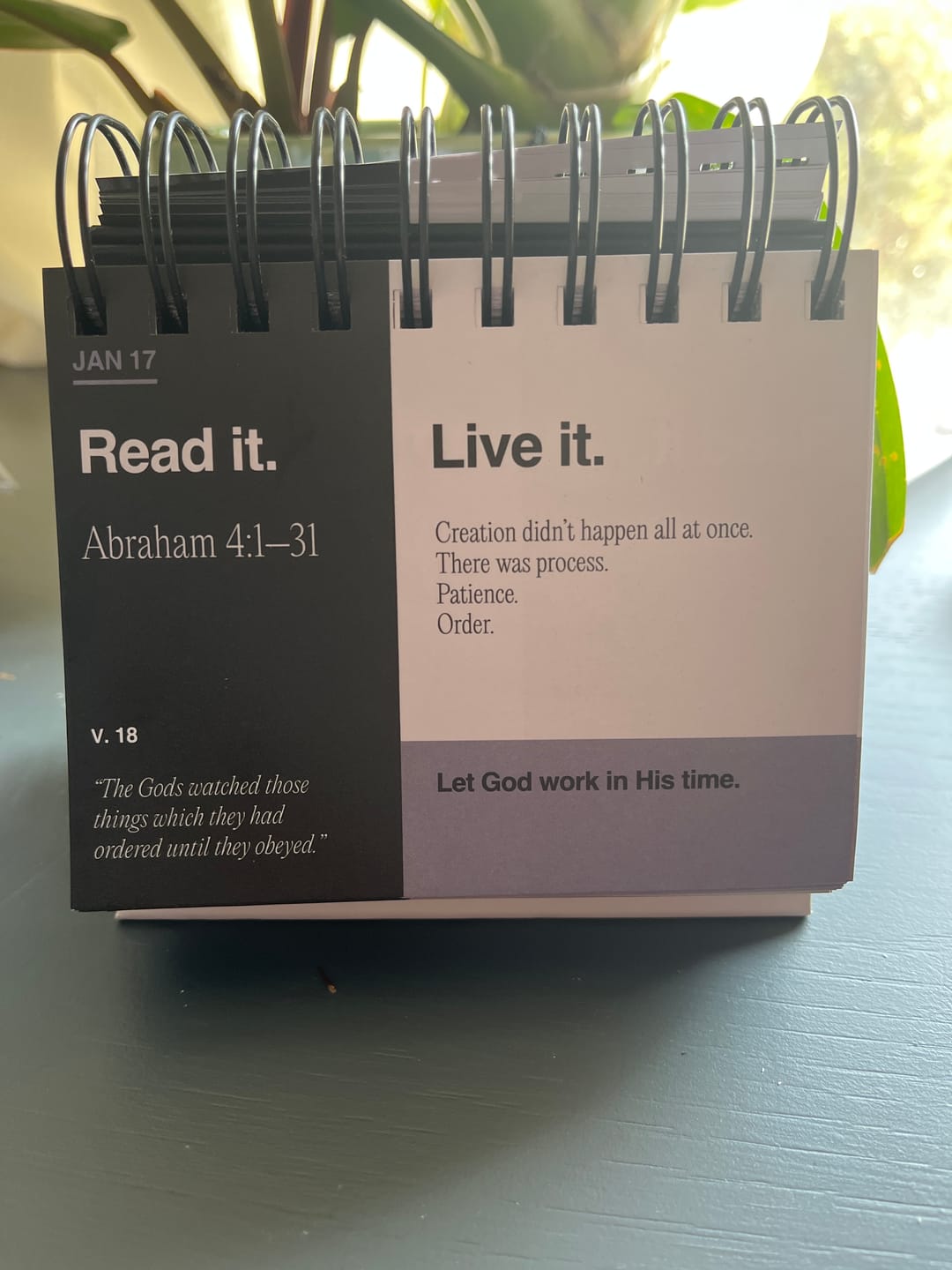 Customer photo review of Don't Miss This Old Testament 365 "Read It, Live It" Calendar