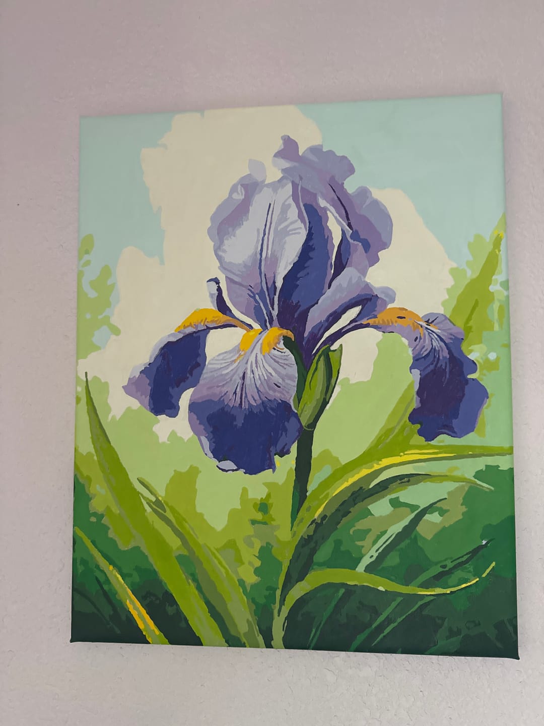 Customer photo review of Sunlit Iris