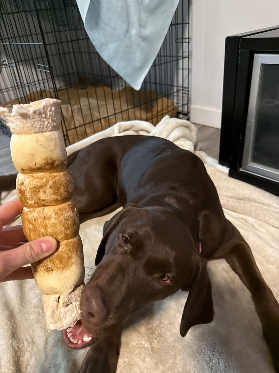 Customer photo review of 10-12 Inch Peanut Butter Cheek Roll